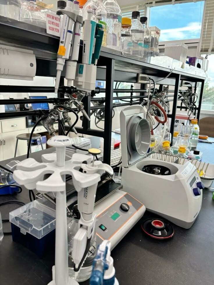 Pipettes, glassware and equipment arranged on a laboratory workbench