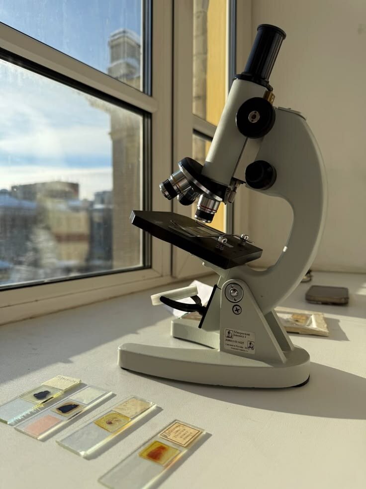 Microscope and prepared slides beside a laboratory window